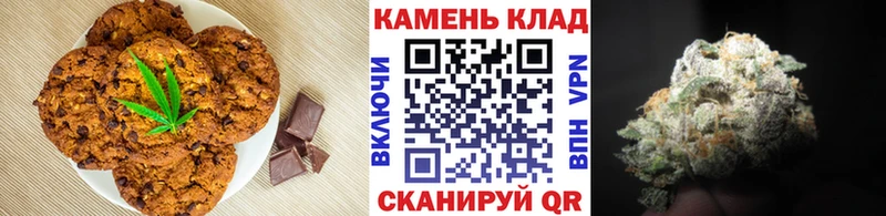где можно купить наркотик  Каргополь  omg   darknet формула  Canna-Cookies марихуана 
