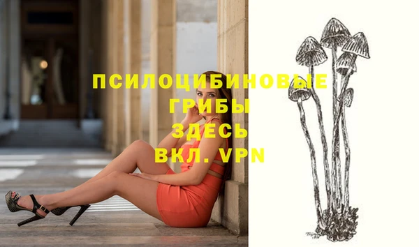 PSILOCYBIN Алексеевка