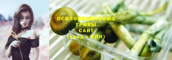 PSILOCYBIN Алексеевка