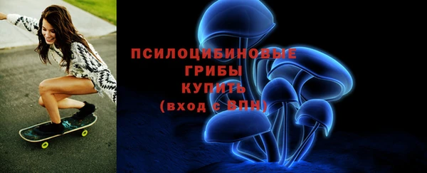 PSILOCYBIN Алексеевка