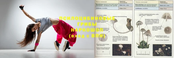 кокс Алексин