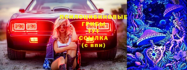 герыч Алзамай