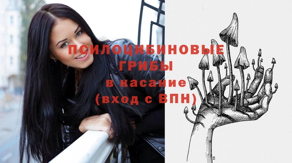 спайс Пересвет