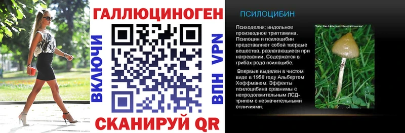 darknet формула  Каргополь  Псилоцибиновые грибы ЛСД 